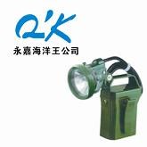 供应便携式强光防爆应急工作灯 IW5100GF 